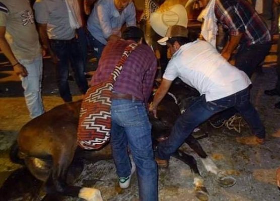Foto: Caballo muere en cabalgata del 31 de enero de 2019 en la Feria de Roldanillo